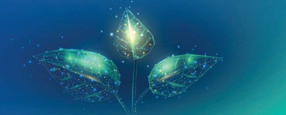 transition-environnemental-rse-kddi-france